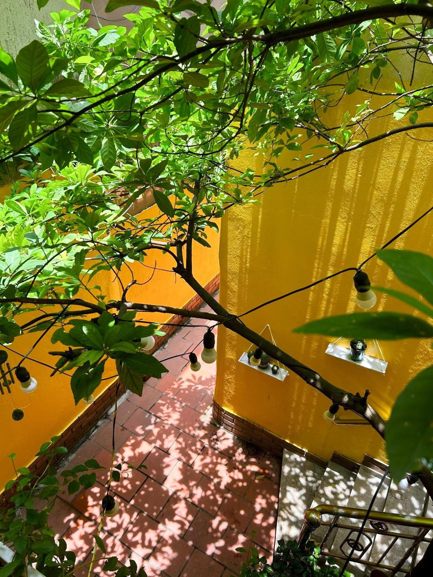 Morri Homestay - Quan Thanh Hanoi Bagian luar foto