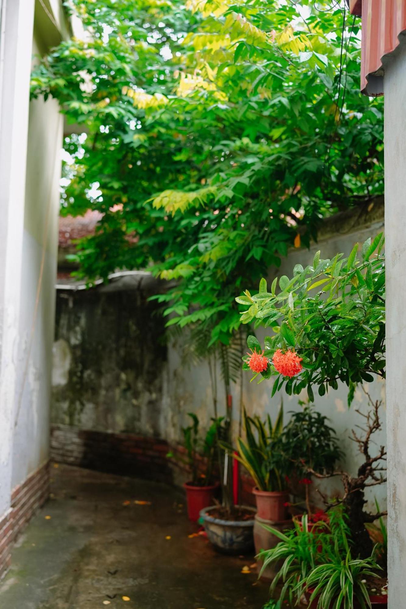 Morri Homestay - Quan Thanh Hanoi Bagian luar foto