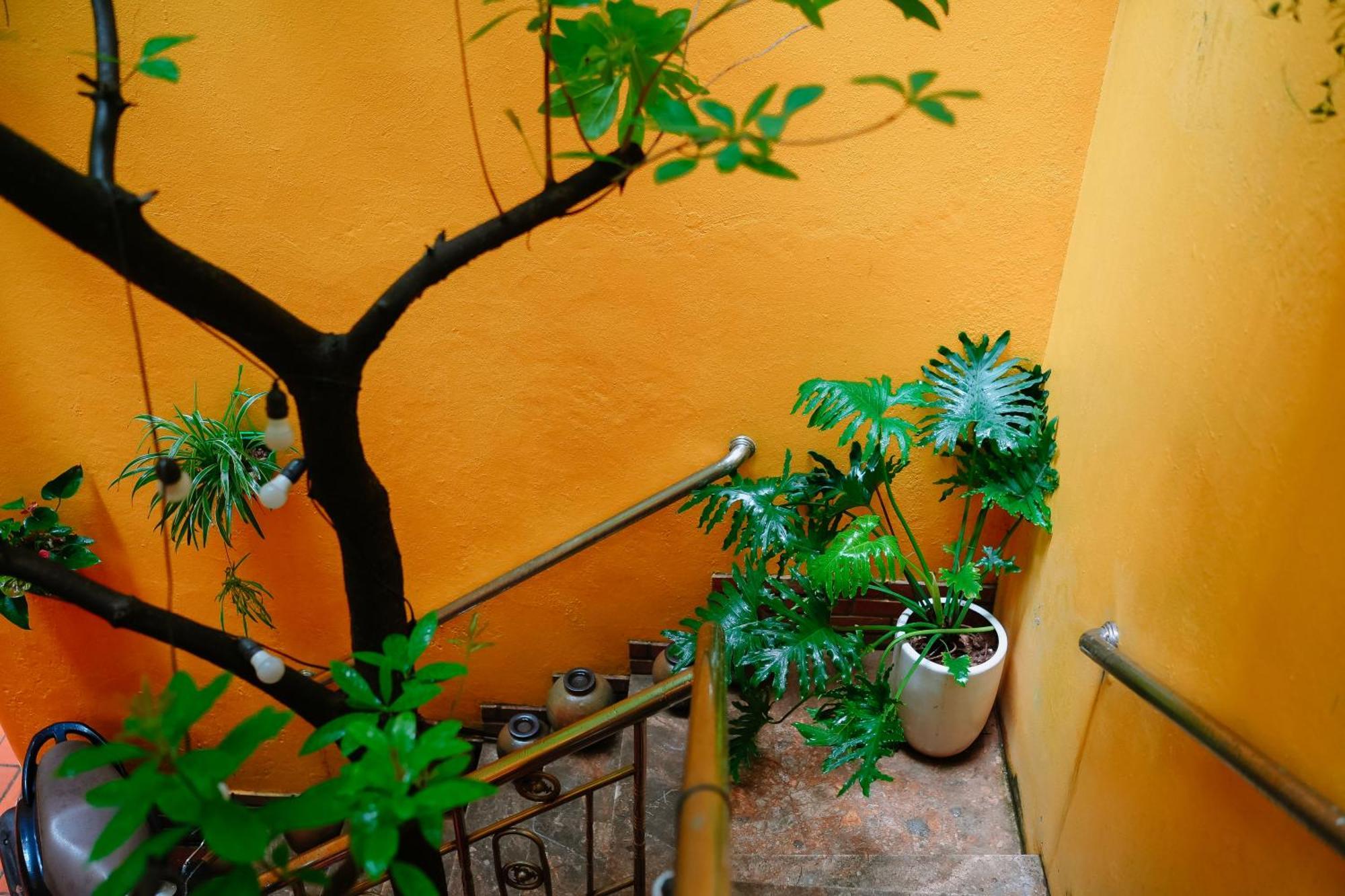Morri Homestay - Quan Thanh Hanoi Bagian luar foto