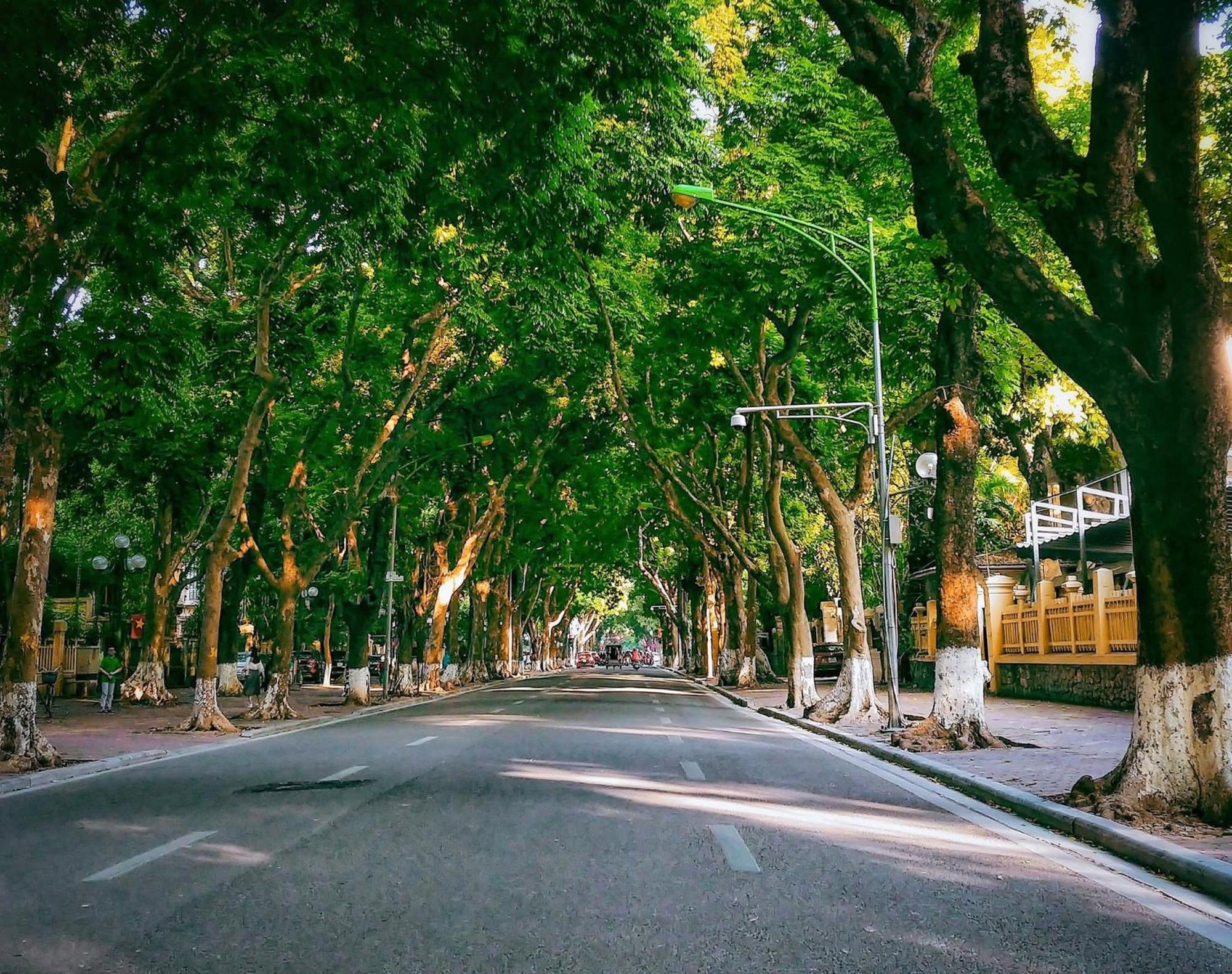 Morri Homestay - Quan Thanh Hanoi Bagian luar foto